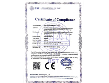 拉姆齊開關歐盟CE認證-1sc-2